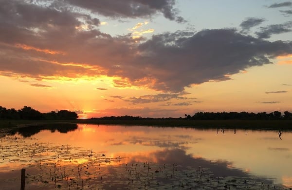 Walking Safaris in Botswana